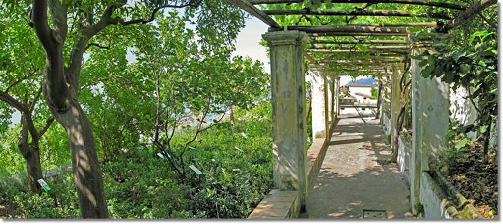 Sichelgaita Apartment Salerno Kültér fotó